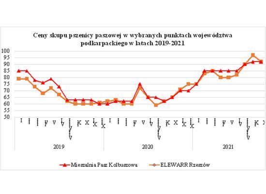 Analiza sytuacji na rynku zbóż oraz cen pszenicy paszowej w woj. podkarpackim
